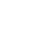 Board And Dice