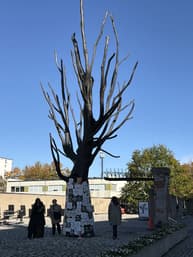 Powstanie Warszawskie: Ostatni Meldunek