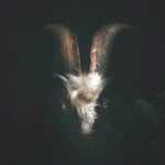 Escape room - Demon Hunters