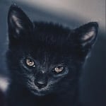 Úniková miestnosť - Psychiatrie