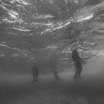 Escape Room - The Collector