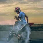 Escape Room - The Pink Flamingo