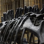 Escape room - The lost treasure of Rudolf II.