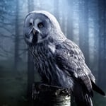 Escape Room - Halblinge