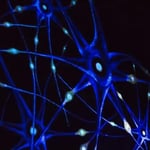 Escape room - Illusional Mind