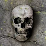 Escape room - Krypta