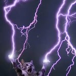 ceiling_cat