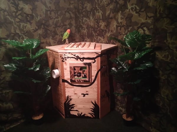 Escape room Dr Jones Bruntál