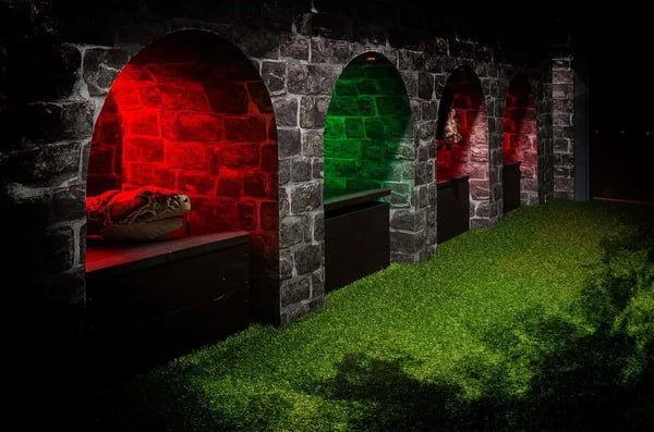 Únikovka Harry Potter Ostrava