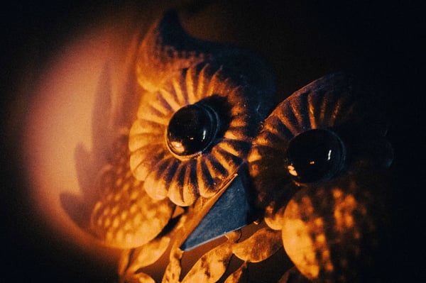 Rezerwacja Bajka Warszawa escape room