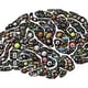 Mind-Find E.