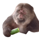 Wad