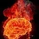 Brain On Fire