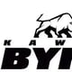 kawał byka