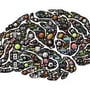 Mind-Find E.