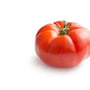 Pomidor