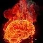 Brain On Fire